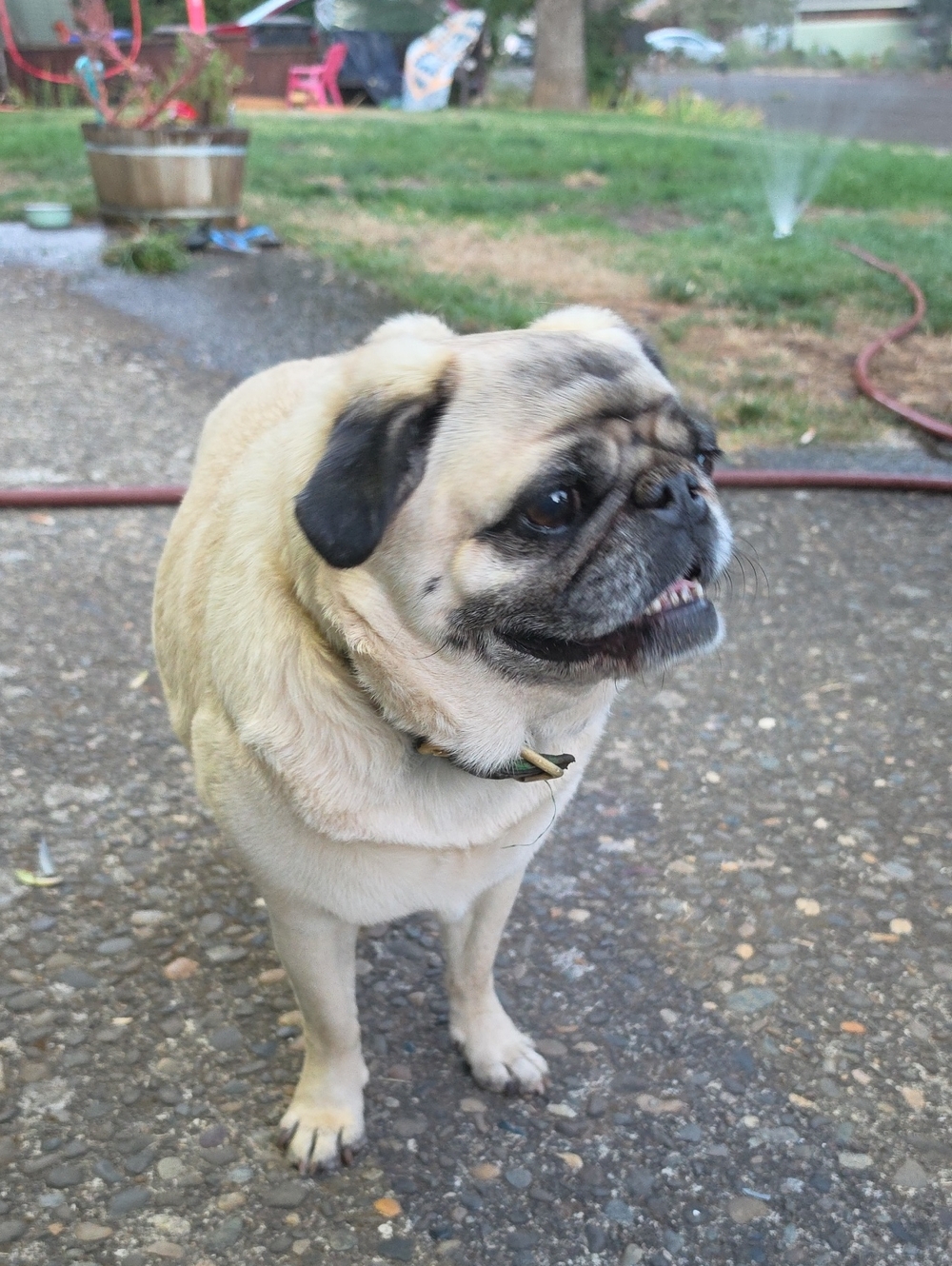 *@*Howie's 9th Birthday Deals!!*@*
